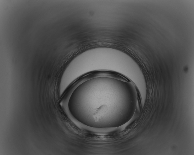 X0000095690316200801151154