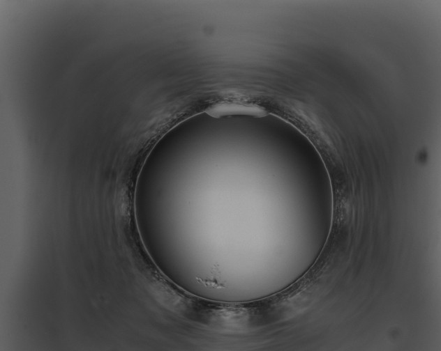 X0000095690317200801151154