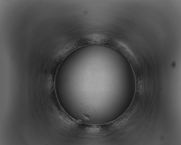 X0000095690318200801151154