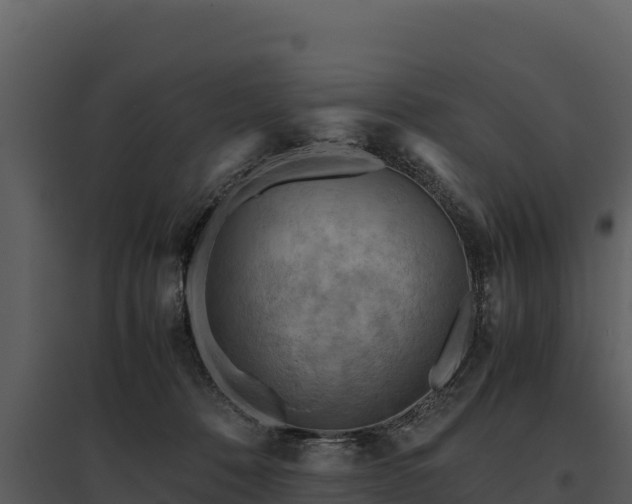 X0000095690320200801151154