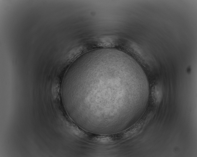 X0000095690322200801151154