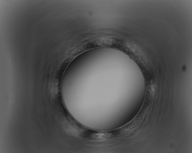 X0000095690323200801151154