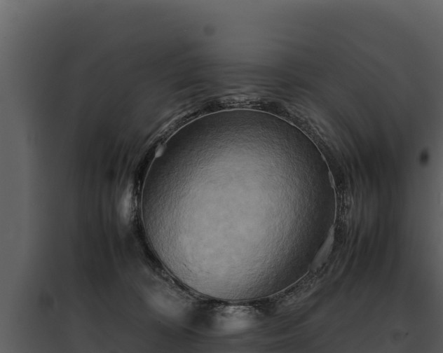 X0000095690324200801151154