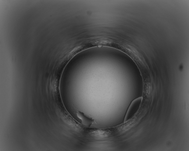 X0000095690326200801151154