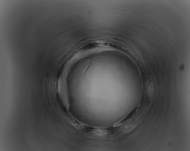 X0000095690328200801151154