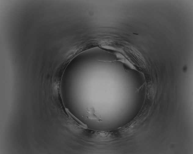 X0000095690329200801151154