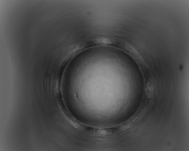 X0000095690330200801151154