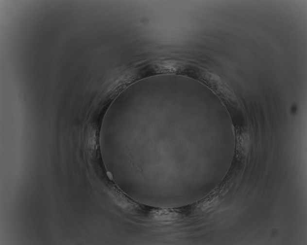 X0000095690331200801151154