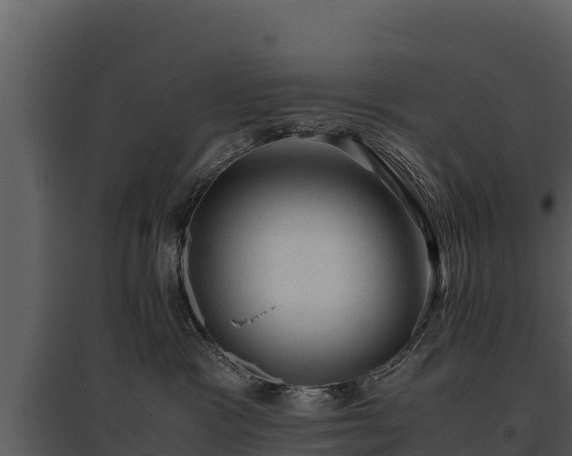 X0000095690333200801151154