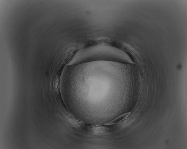 X0000095690336200801151154