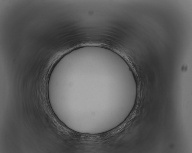 X0000095690337200801151153