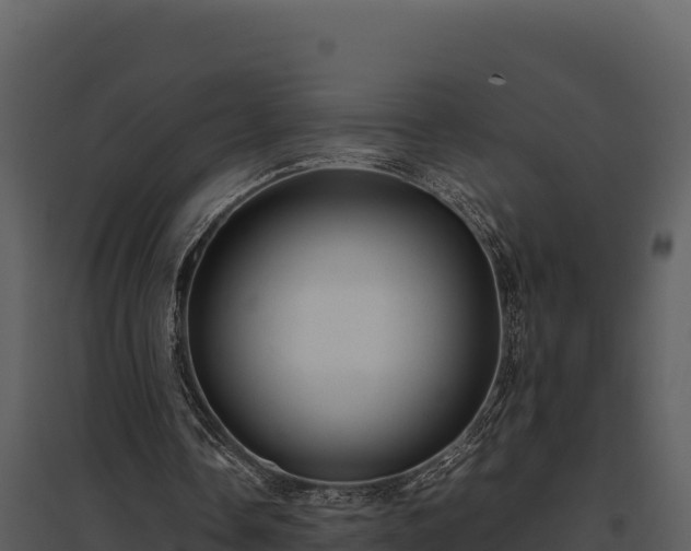 X0000095690338200801151153