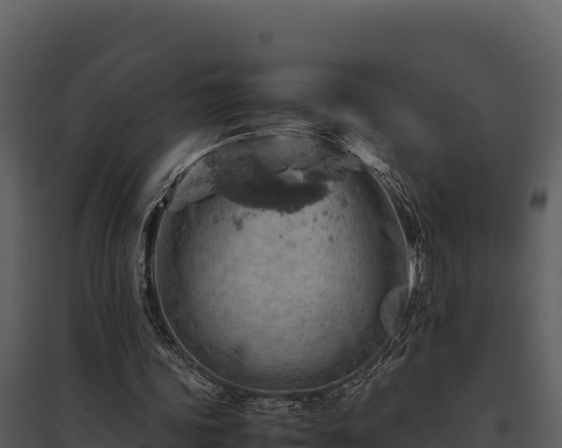 X0000095690339200801151153