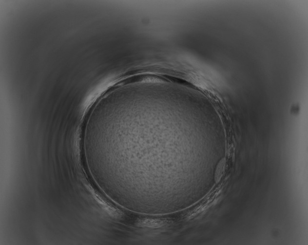 X0000095690341200801151153