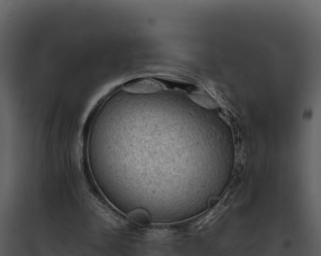 X0000095690342200801151153