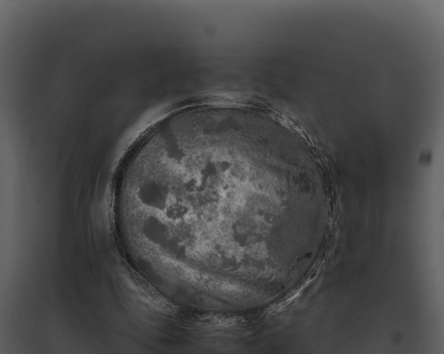 X0000095690343200801151154