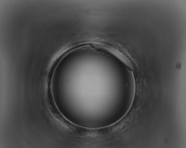 X0000095690344200801151154