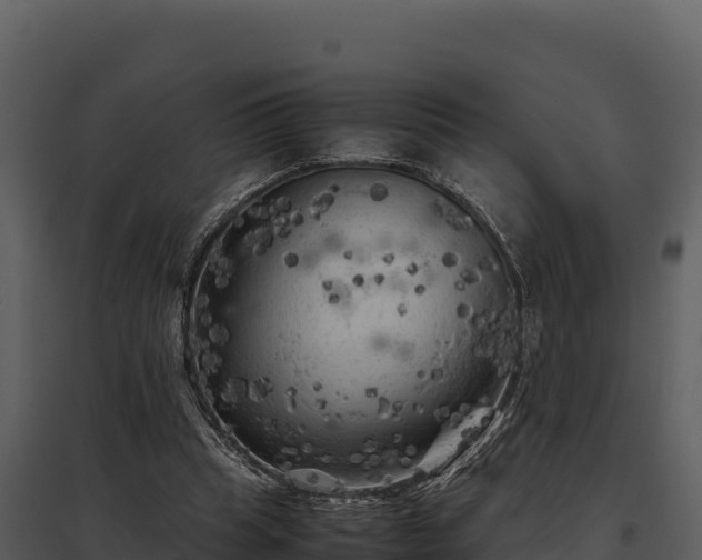 X0000095690345200801151154