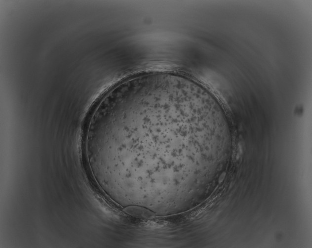 X0000095690346200801151154