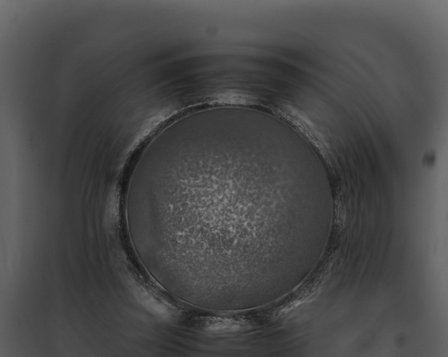 X0000095690347200801151154