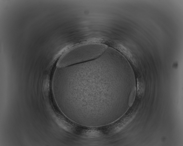 X0000095690348200801151154