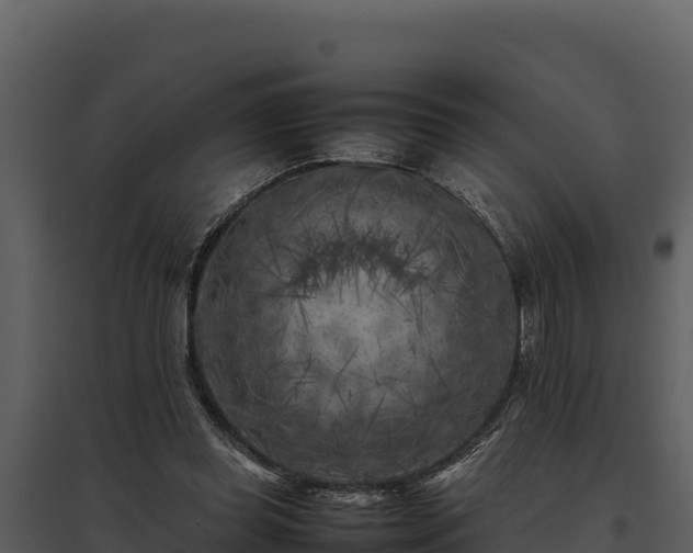 X0000095690349200801151154