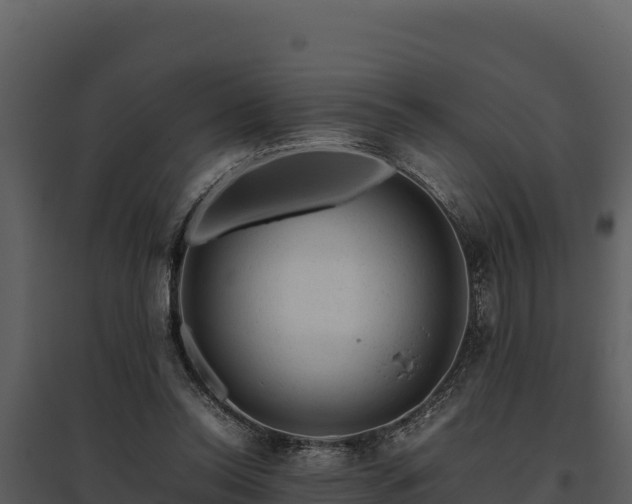 X0000095690350200801151154