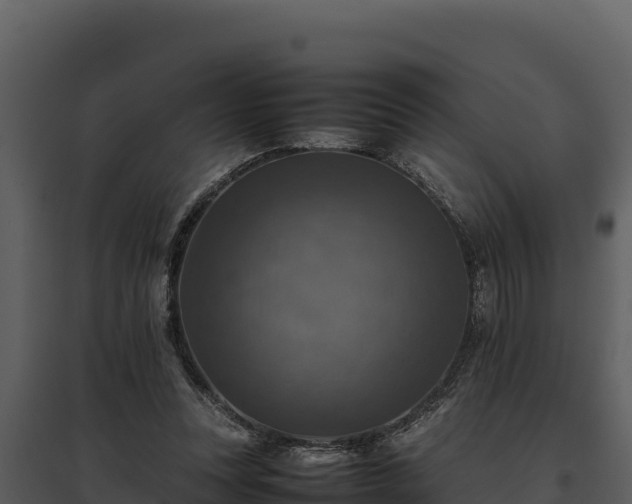 X0000095690351200801151154