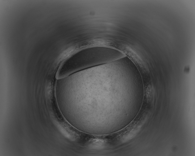 X0000095690352200801151154