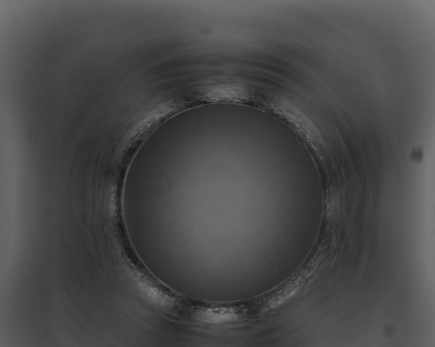 X0000095690353200801151154