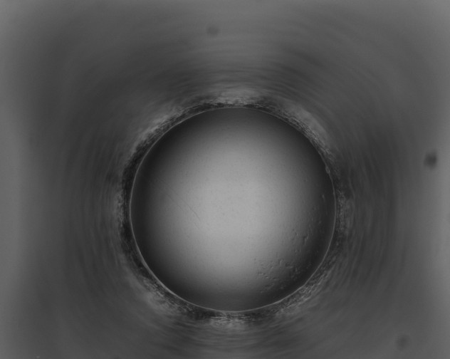 X0000095690354200801151154