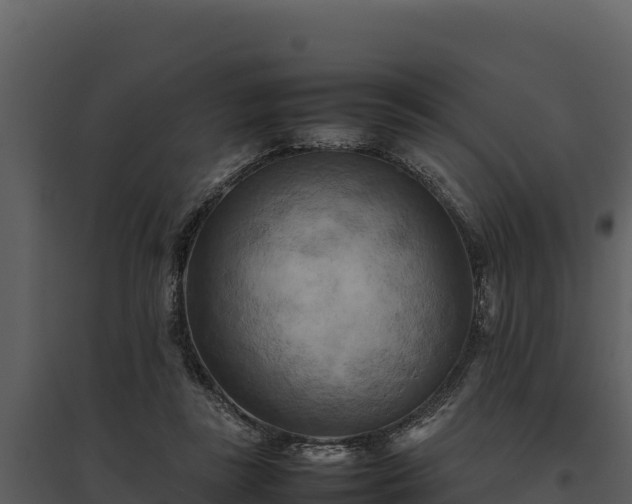 X0000095690355200801151154