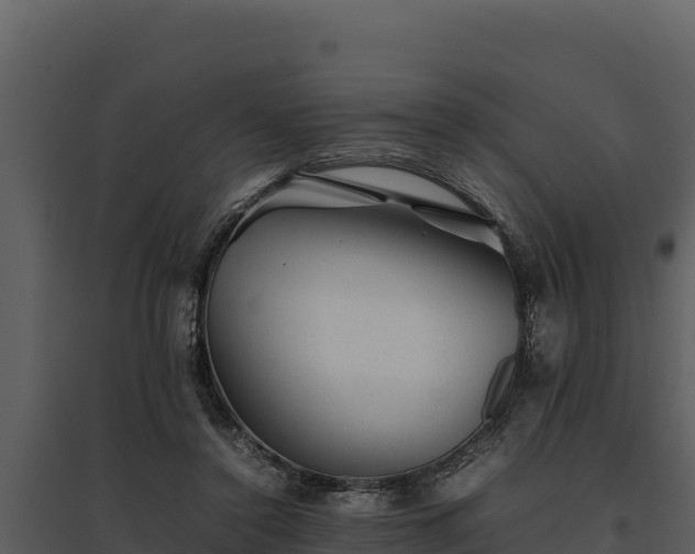 X0000095690356200801151154