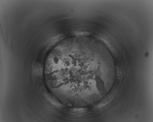 X0000095690357200801151154