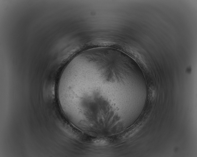 X0000095690358200801151154