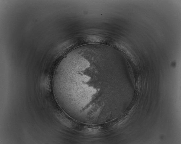 X0000095690359200801151154