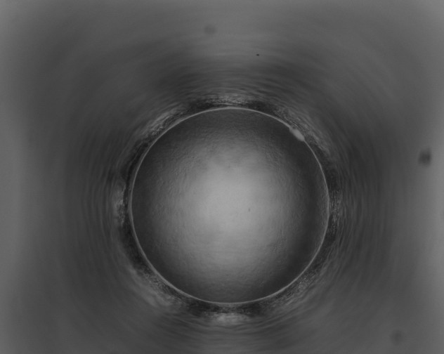 X0000095690360200801151154