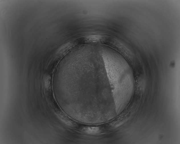 X0000095690361200801151154