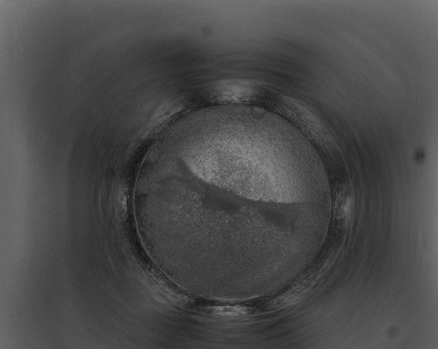 X0000095690363200801151154