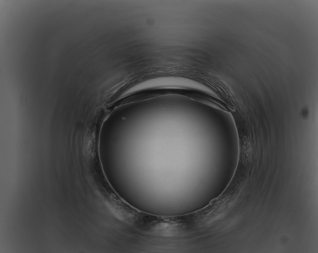 X0000095690364200801151154