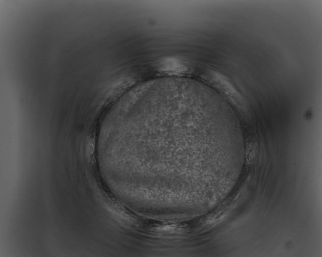 X0000095690365200801151154