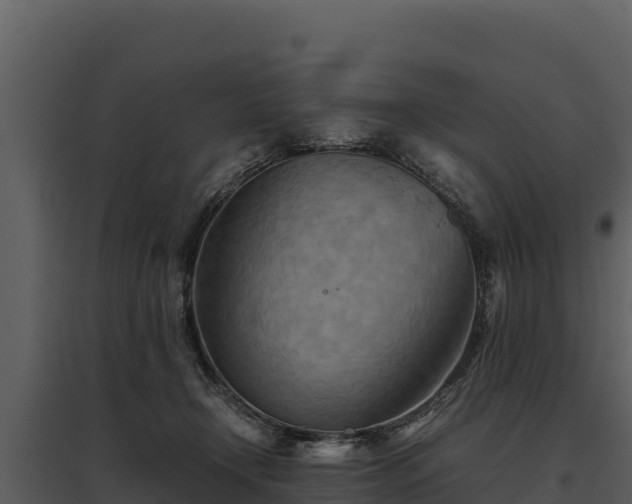 X0000095690366200801151154