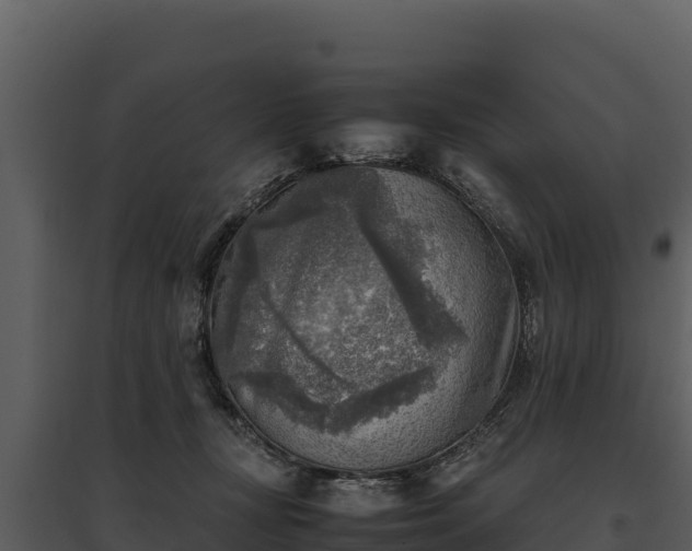 X0000095690367200801151154