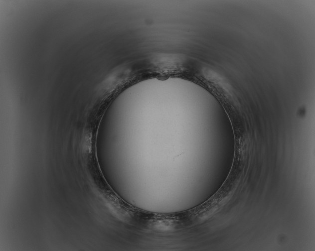 X0000095690368200801151154