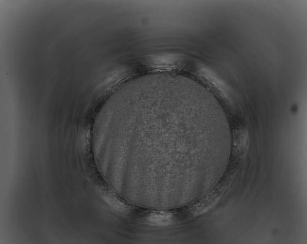 X0000095690369200801151154