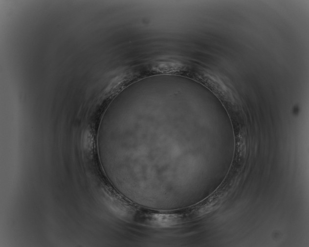 X0000095690371200801151154