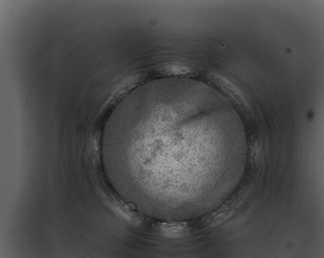 X0000095690373200801151154