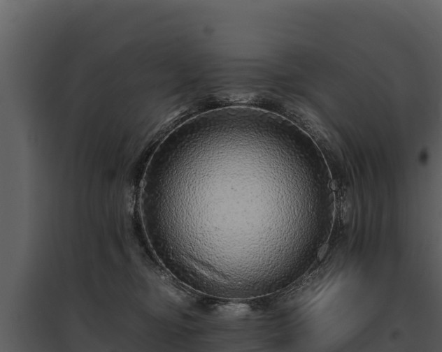 X0000095690374200801151154