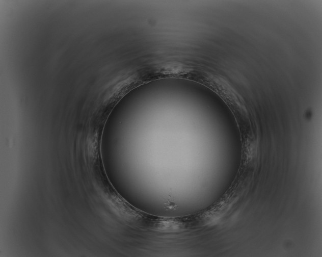 X0000095690376200801151154