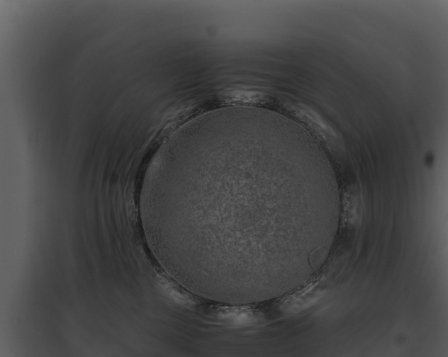 X0000095690377200801151154